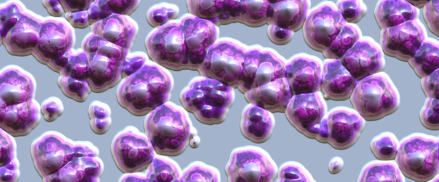 fialové buňky